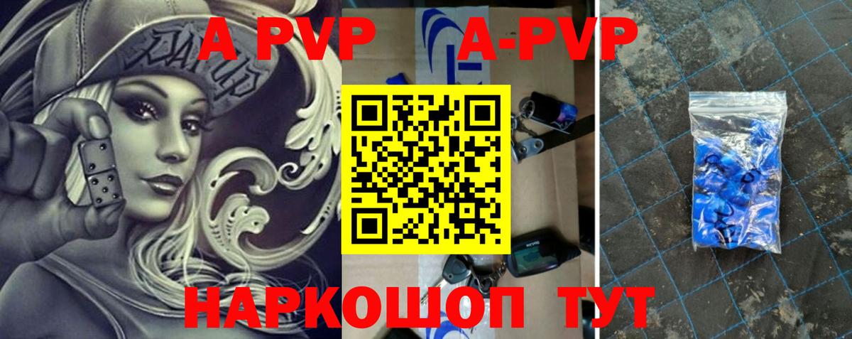 APVP СК Великий Новгород