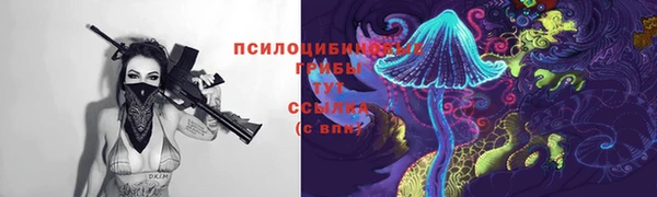соль курить ск Михайлов