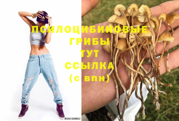 бутират Наволоки