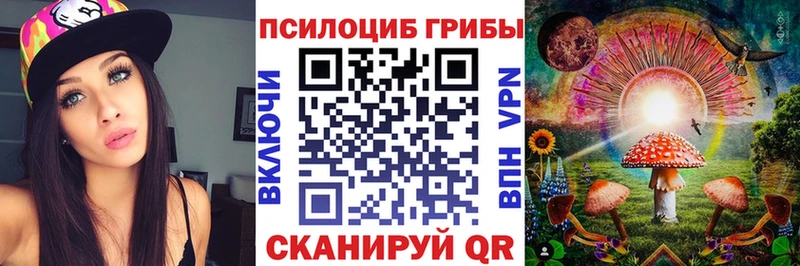 кракен как зайти  Великий Новгород  Галлюциногенные грибы Psilocybe  где купить наркотик 