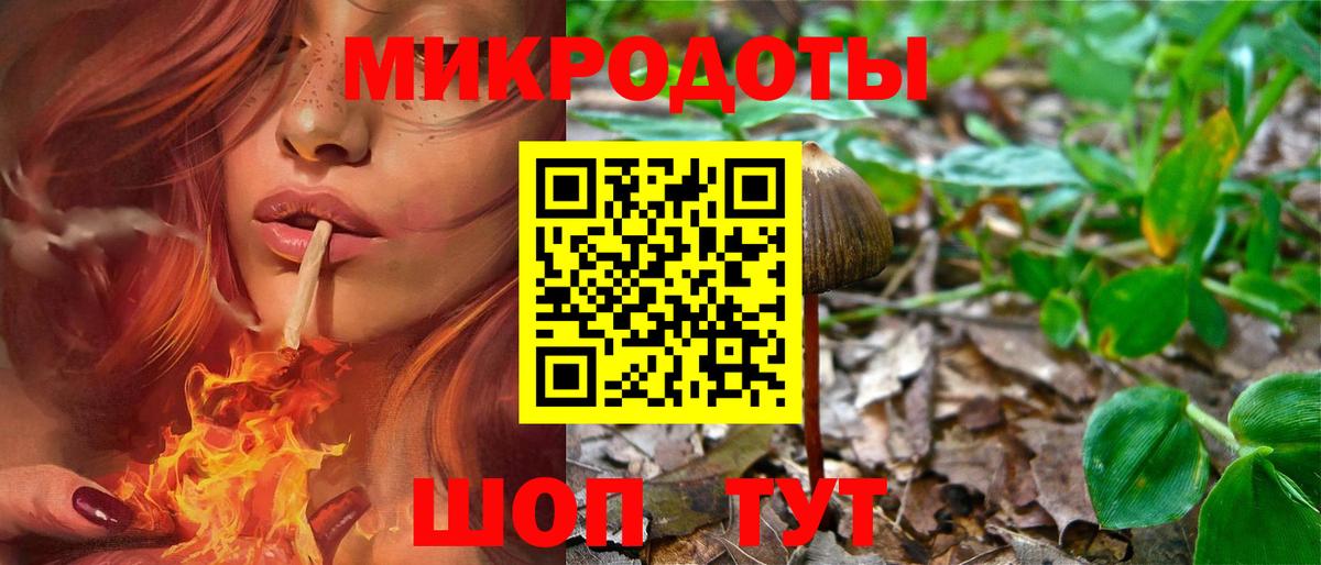 Великий Новгород  Псилоцибиновые грибы Psilocybe  Вход с VPN 